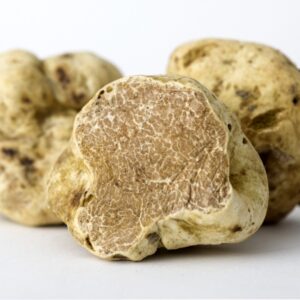 tuber-magnatum-300x300.jpg