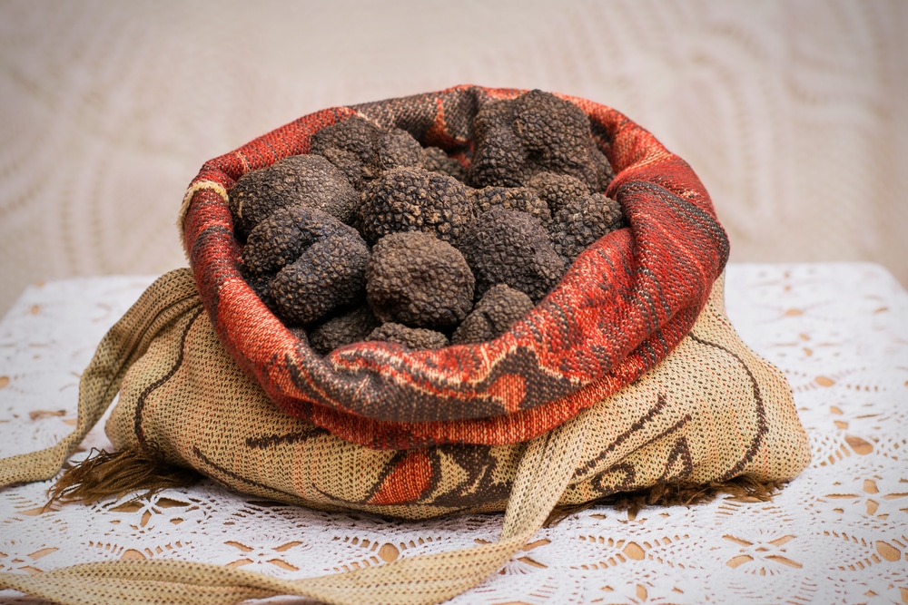 Vente de truffes fraîches et produits dérivés ⋆ La Rabasse de l'Enclave