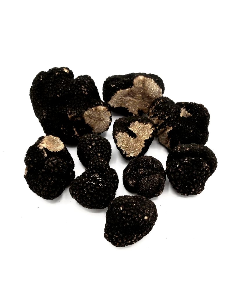 500g de truffes d'Automne - Tuber Uncinatum et une terrine truffée offerte