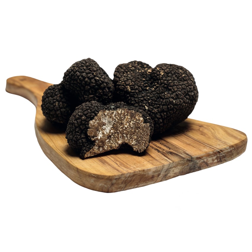Morceaux de Truffes noires fraîches - Tuber Mélanosporum
