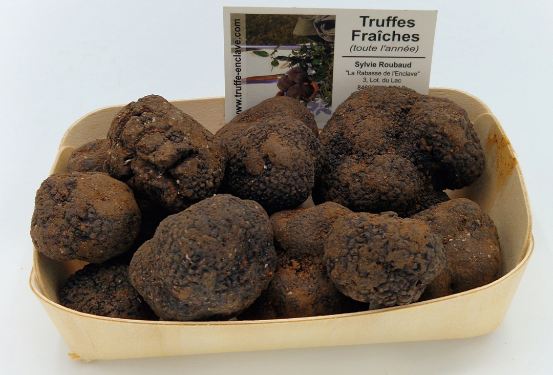 Truffes brossées ou lavées ?