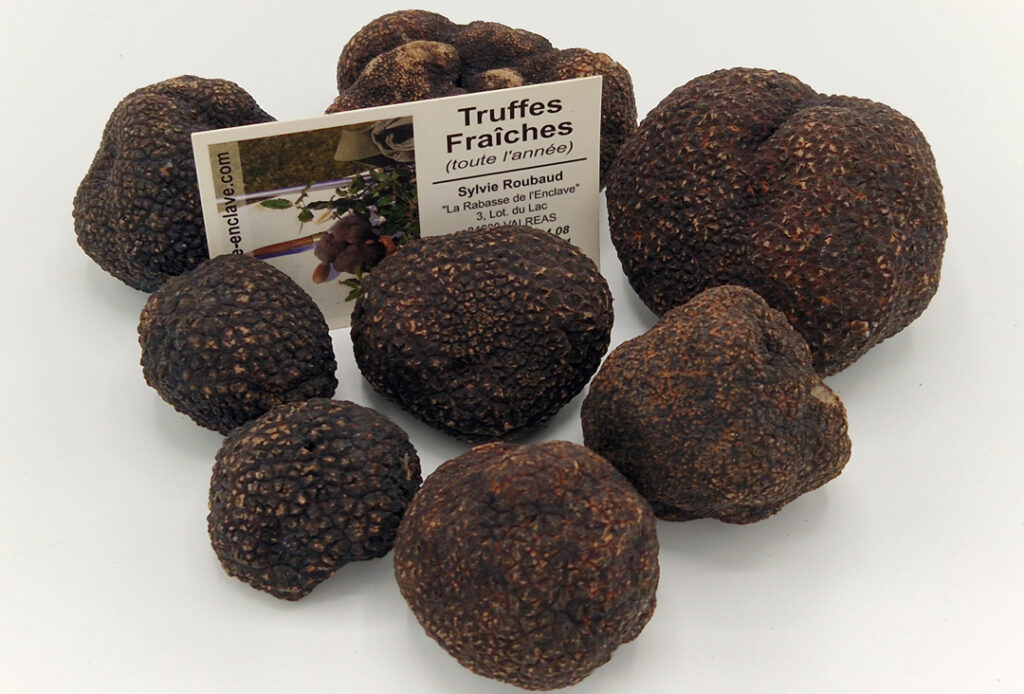 Truffes fraîches tuber melanosporum achat en ligne livraison en France